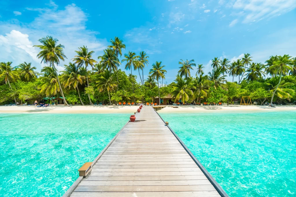 maldives package honeymoon