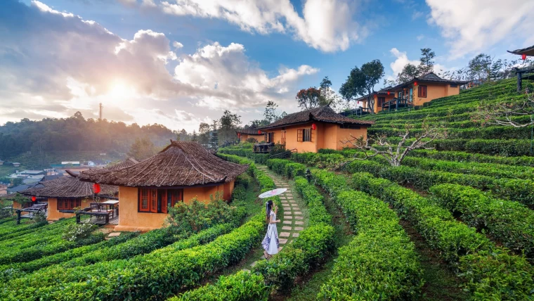 Darjeeling Gangtok India