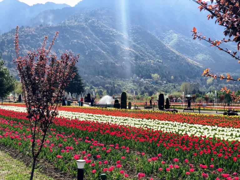 Chalo Kashmir