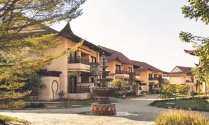 Premium Hotel Summer Deals