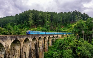 Best family tours in Sri Lanka
