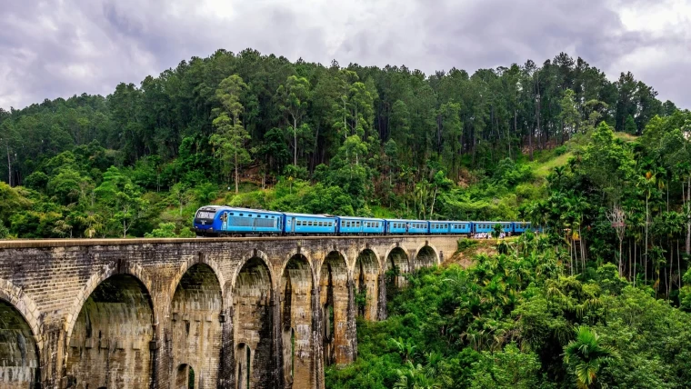 Best family tours in Sri Lanka